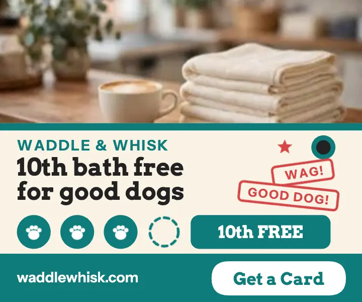 Waddle and Whisk loyalty punch ad template