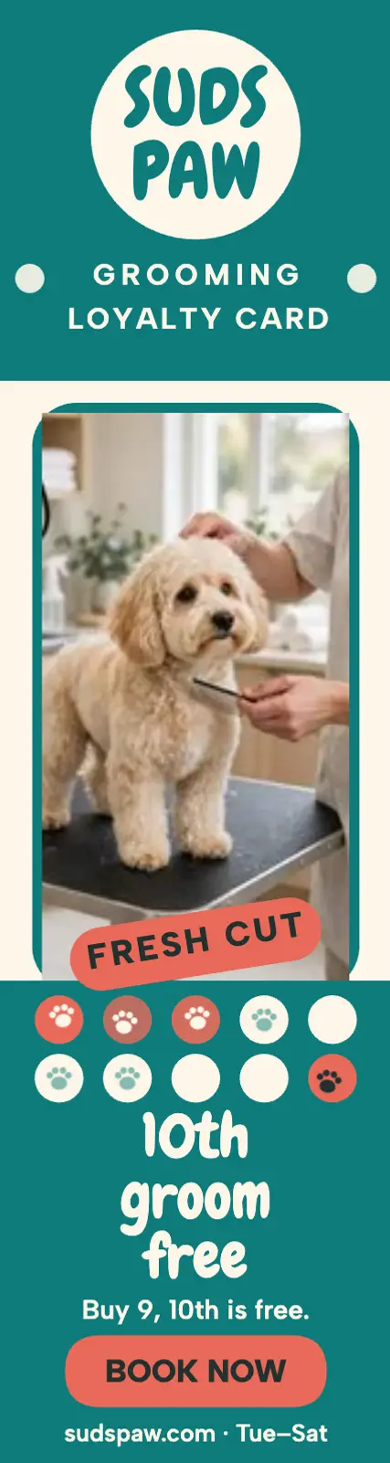 Sudspaw groomer loyalty skyscraper ad template