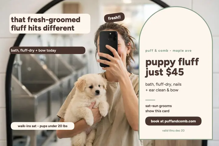 Puff and Comb mirror selfie postcard: pet groomer postcard template