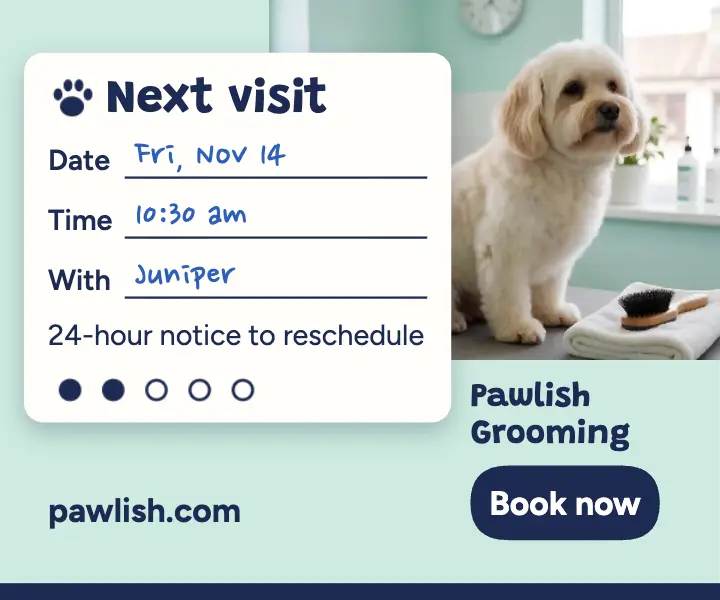 Pawlish Grooming next visit card ad template