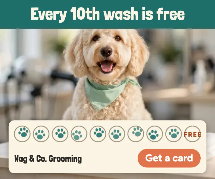 Wag & Co. grooming loyalty card ad template