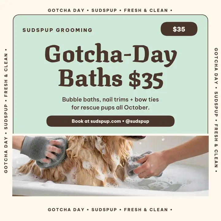 Sudspup gotcha-day bath post template