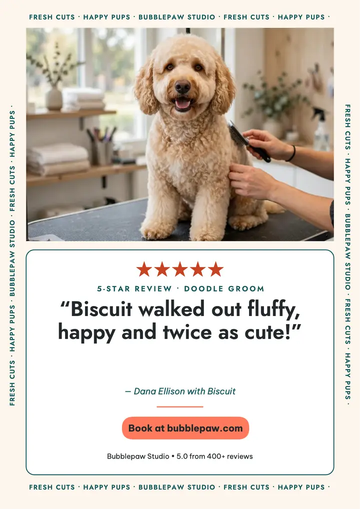 Bubblepaw grooming review flyer template