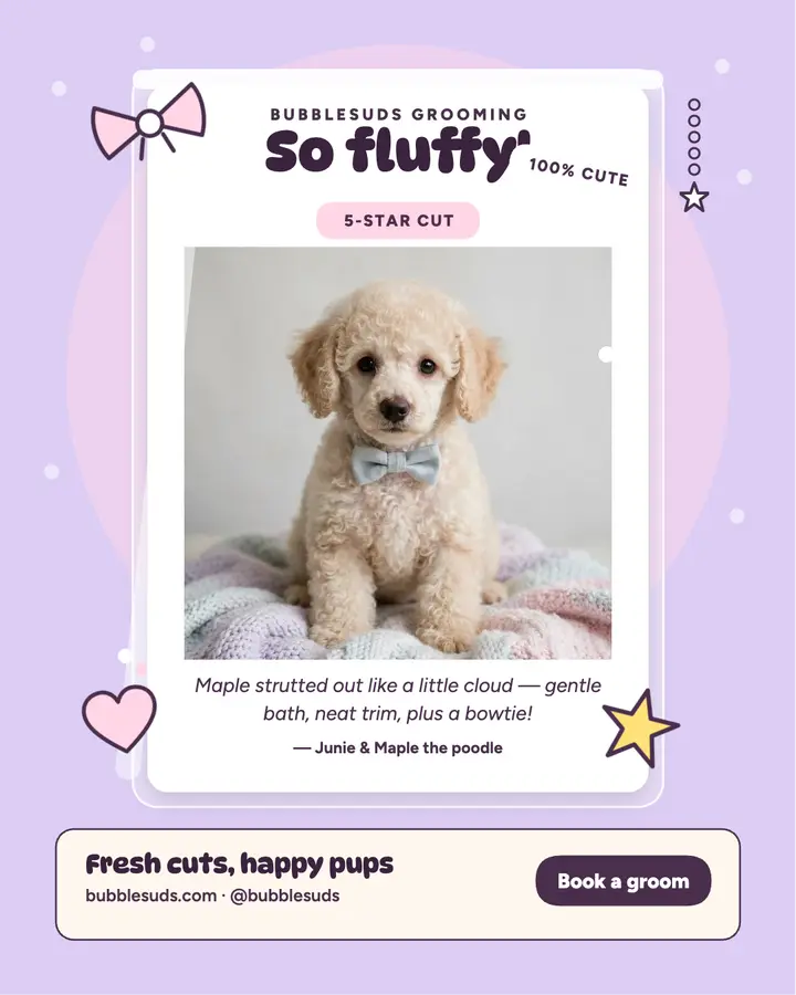 Bubblesuds groomer photocard review template