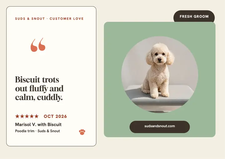 Suds and Snout star groom certificate template