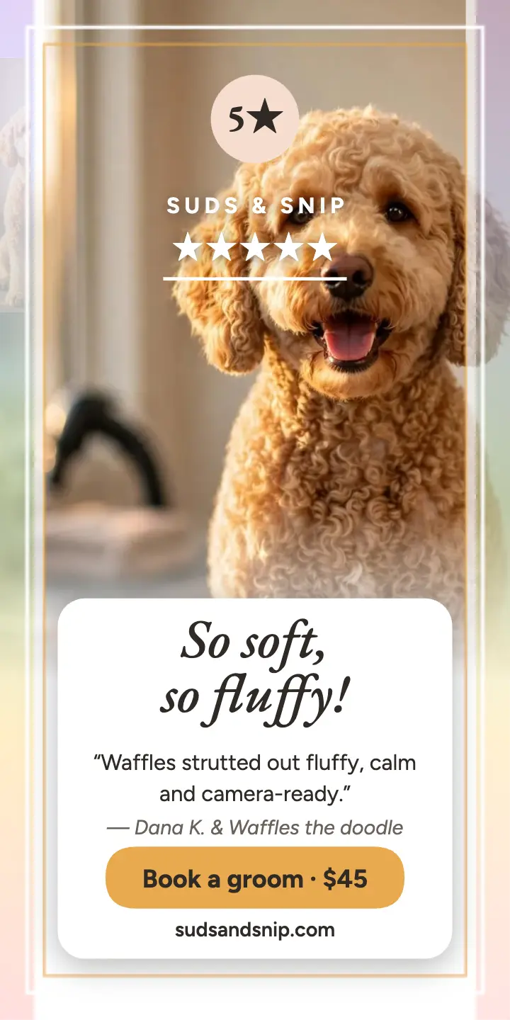 Suds and Snip doodle review half page ad template