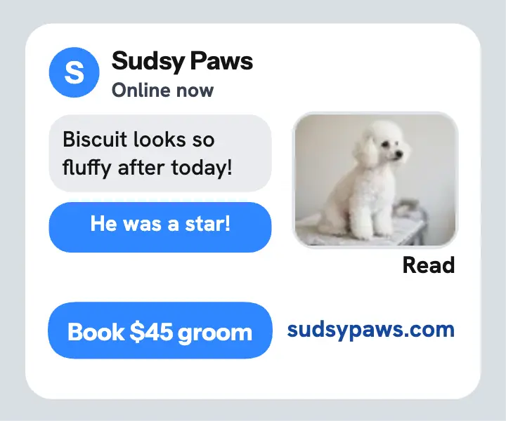 Sudsy Paws text thread groomer ad: groomer promo ad template