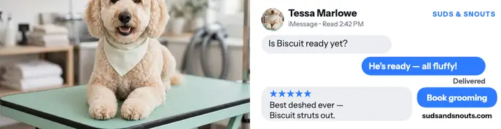 Suds and Snouts text thread review: dog groomer review ad template