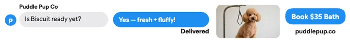 Puddle Pup Co text thread leaderboard: dog groomer ad template