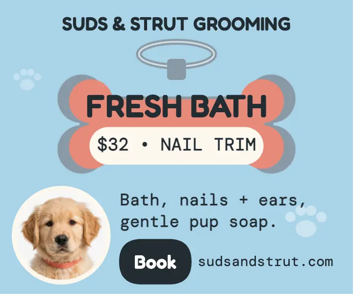 Suds and Strut bone tag grooming ad template