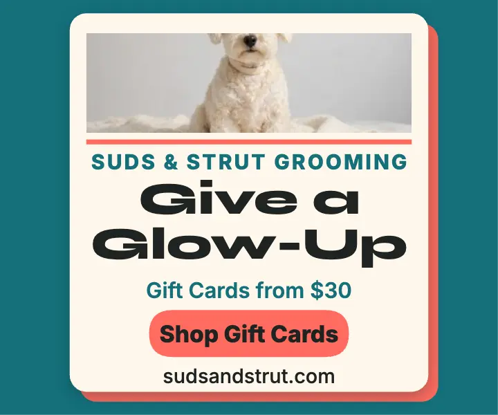 Suds and Strut gift card ad template