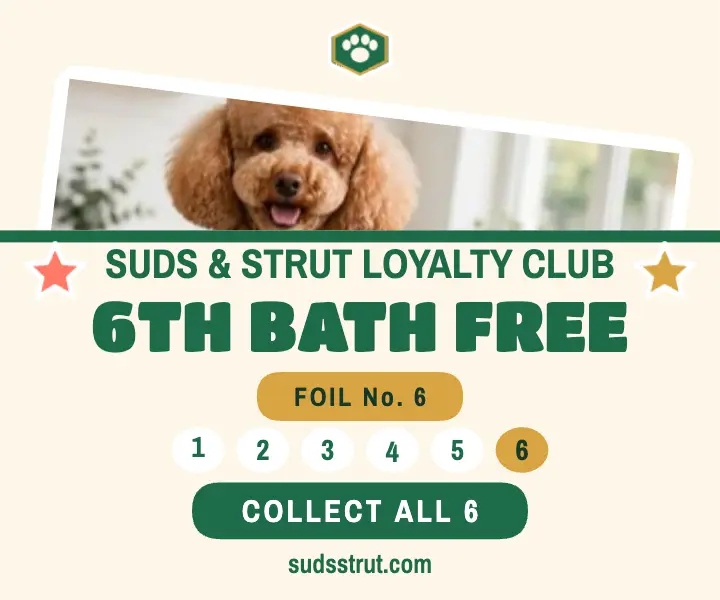Suds and Strut loyalty club ad template