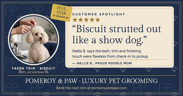 Pomeroy and Paw five-star grooming review template