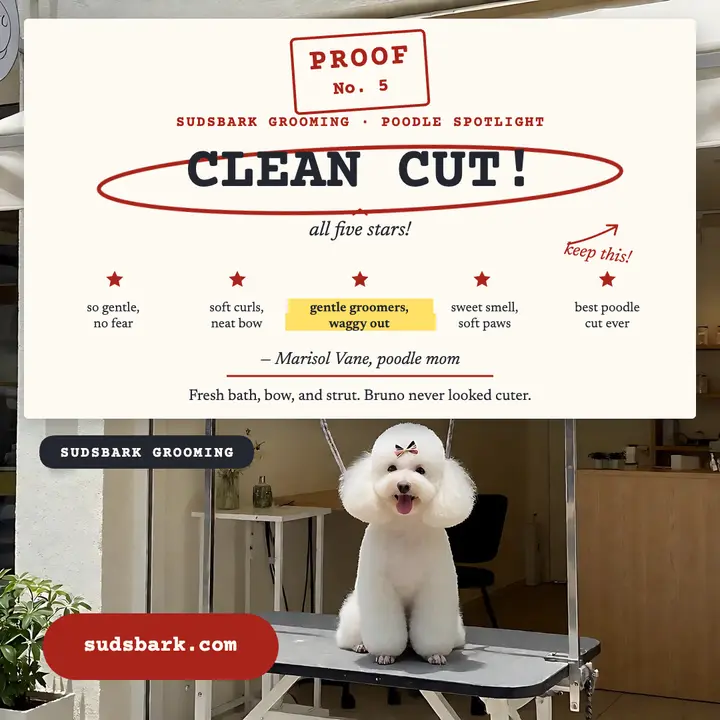 Sudsbark poodle review proof post template