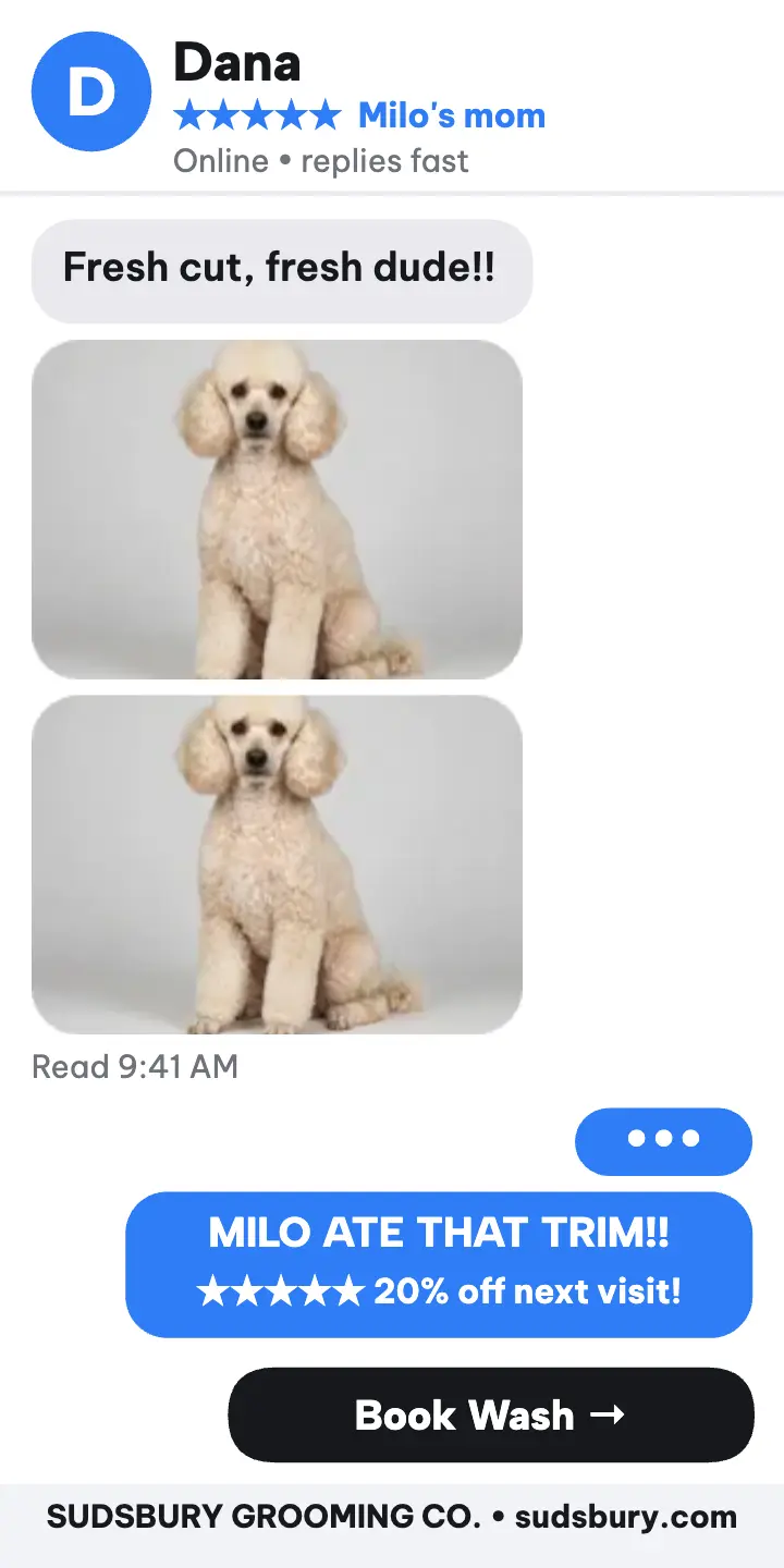 Sudsbury grooming review thread ad: grooming review ad template