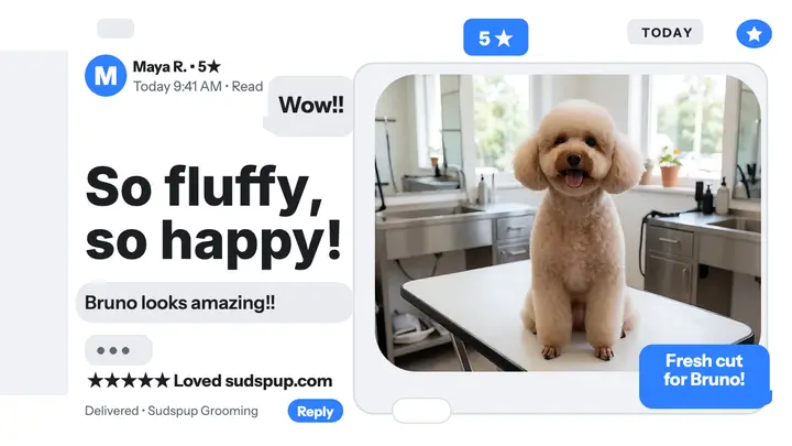 Sudspup grooming review thread thumb template