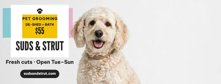 Suds and Strut grooming cover template