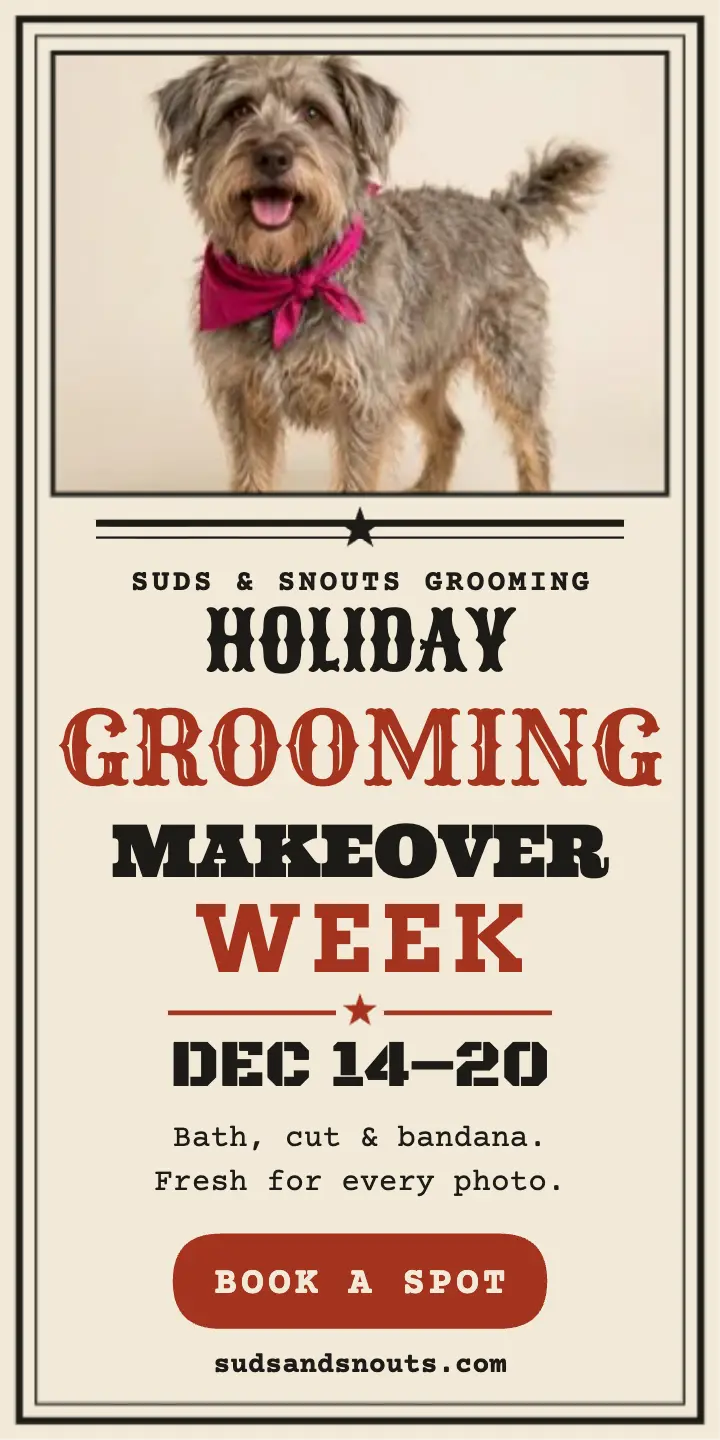 Suds and Snouts holiday grooming week ad template