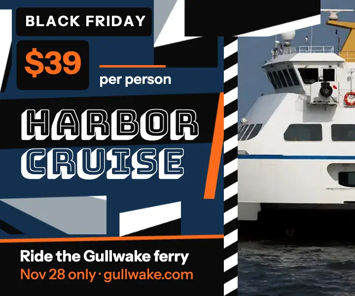 Gullwake harbor cruise Black Friday ad, dazzle camouflage template