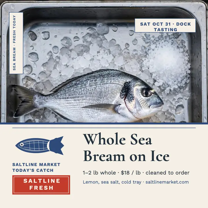 Saltline sea bream catch board template