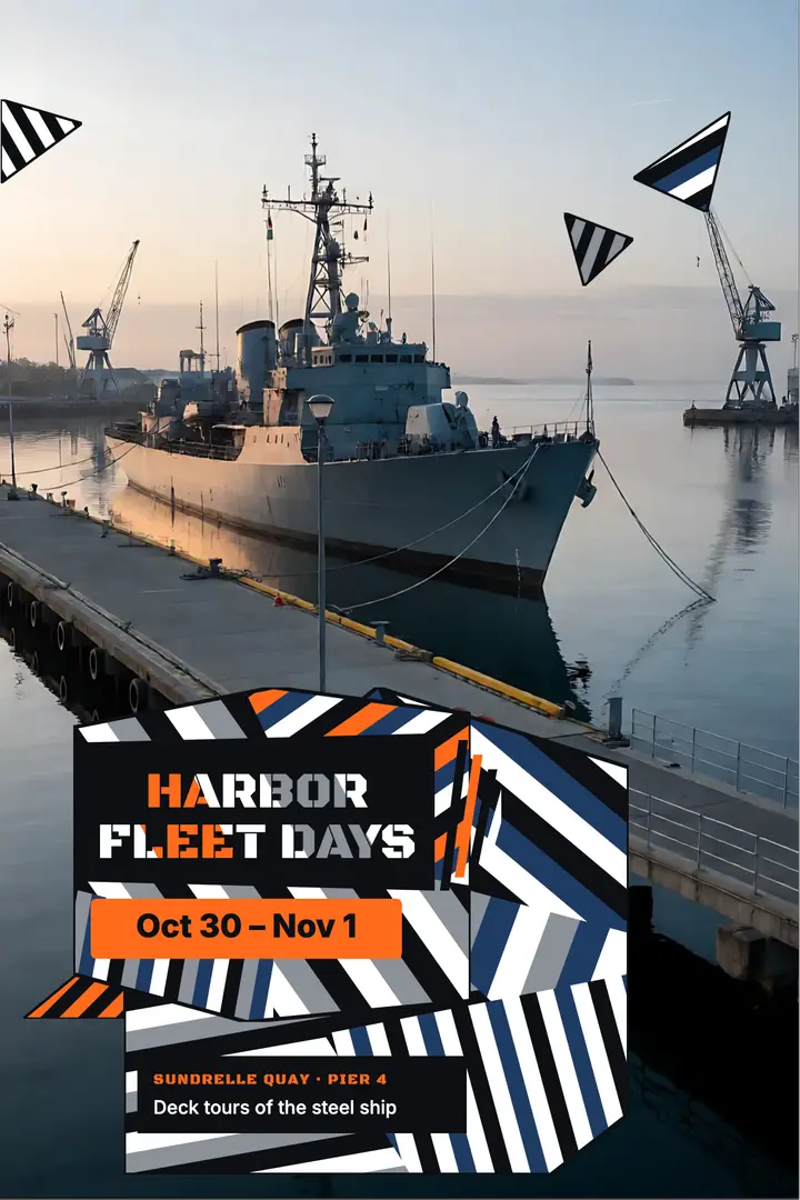 Harbor Fleet Days dazzle camouflage poster template