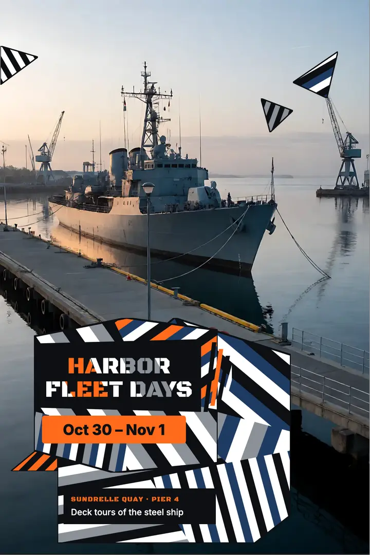 Harbor Fleet Days dazzle camouflage poster template
