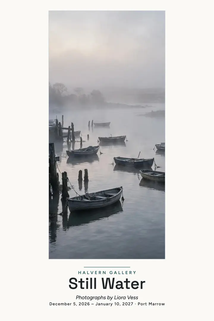 Still Water harbor light show poster template