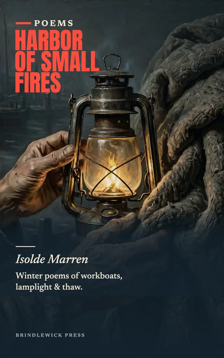 Harbor of Small Fires poetry cover template