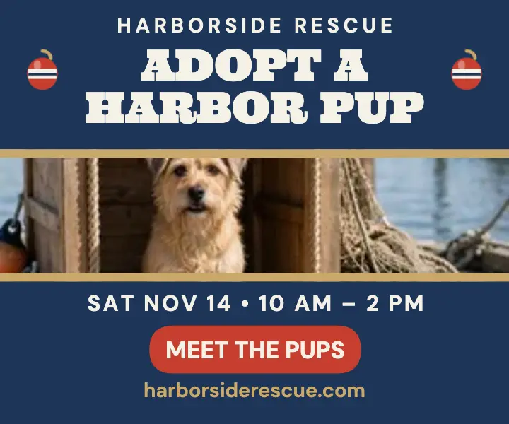 Harborside Rescue harbor pup day ad template