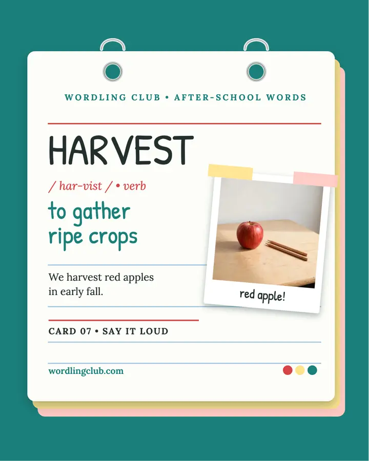Harvest word flash card, Wordling Club template