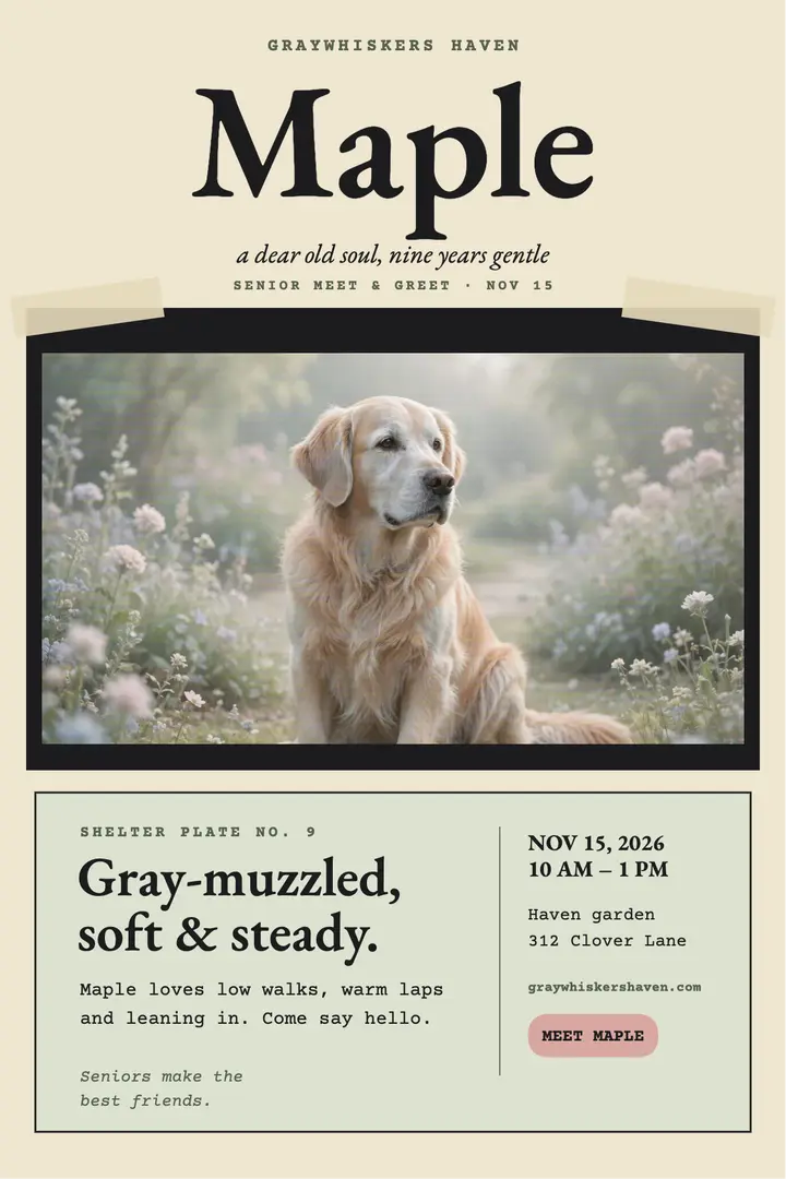 Maple senior dog meet and greet poster template
