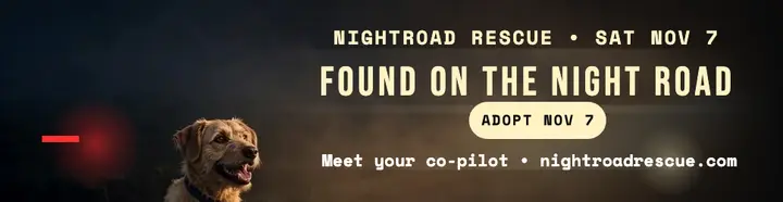 Nightroad Rescue night road billboard: pet adoption billboard template