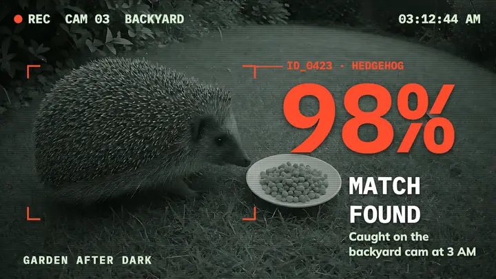 Garden After Dark hedgehog cam thumbnail, surveillance frame template