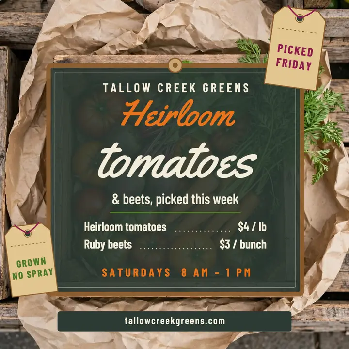 Tallow Creek Greens heirloom tomato and beet market post template