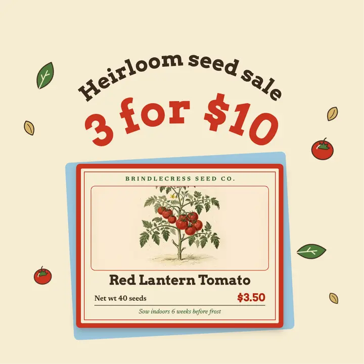 Heirloom tomato seed sale, seed packet post template