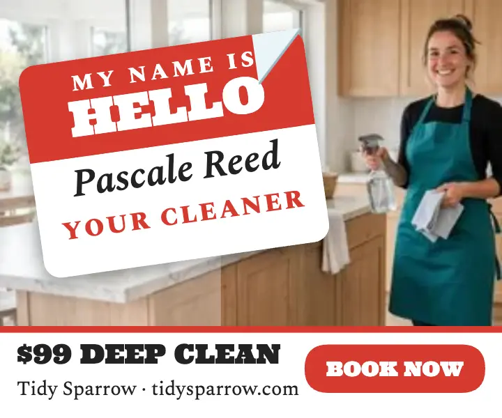 Tidy Sparrow hello cleaner ad template