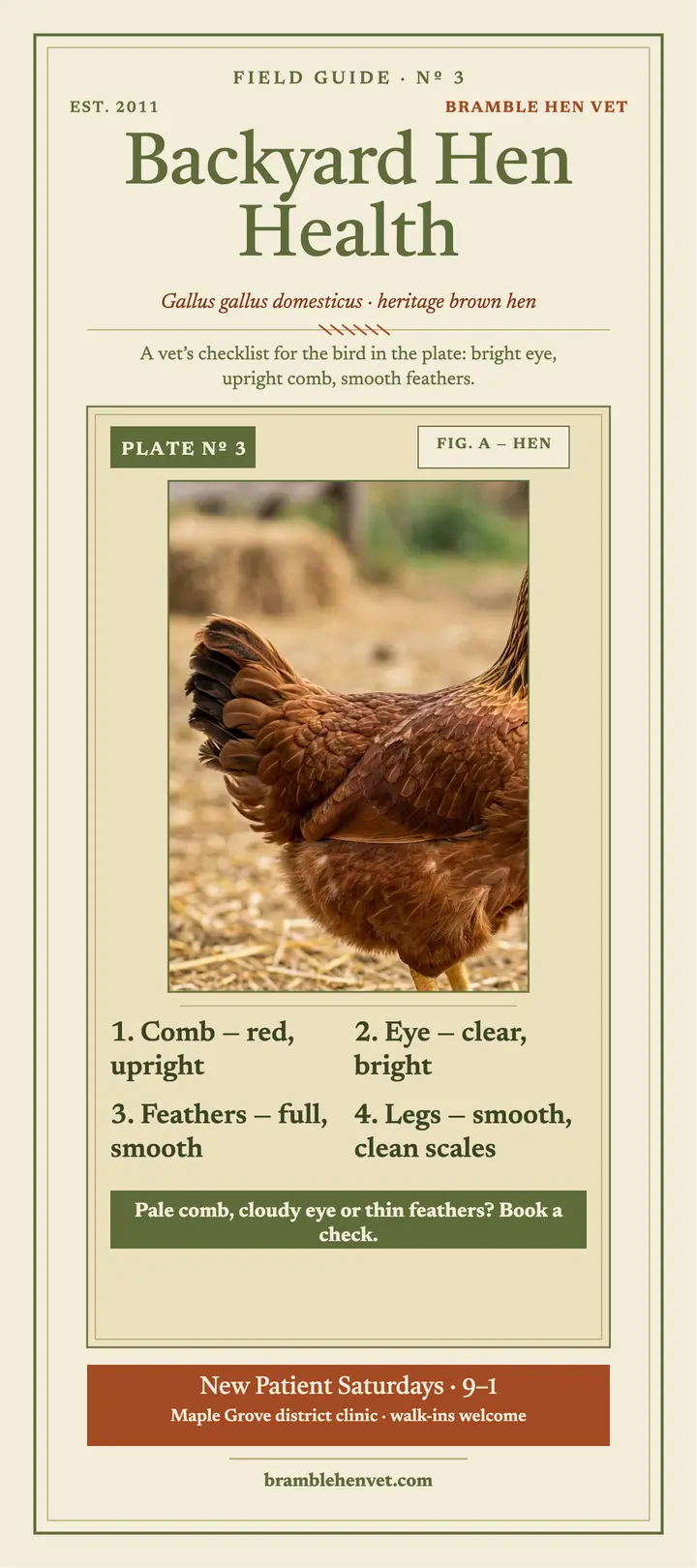 Bramble Hen healthy hen field guide: chicken health guide rack card template