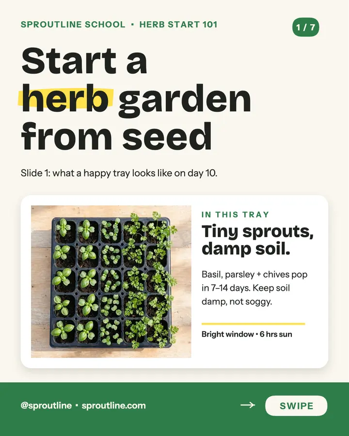 Herb Start seedling tray carousel post: herb garden carousel post template