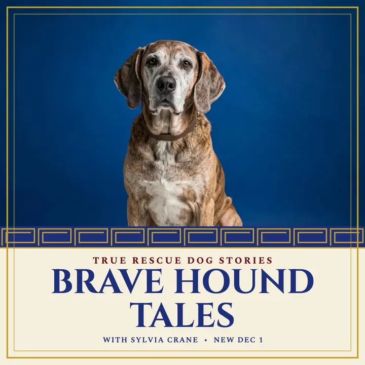 Brave Hound Tales rescue dog podcast cover template