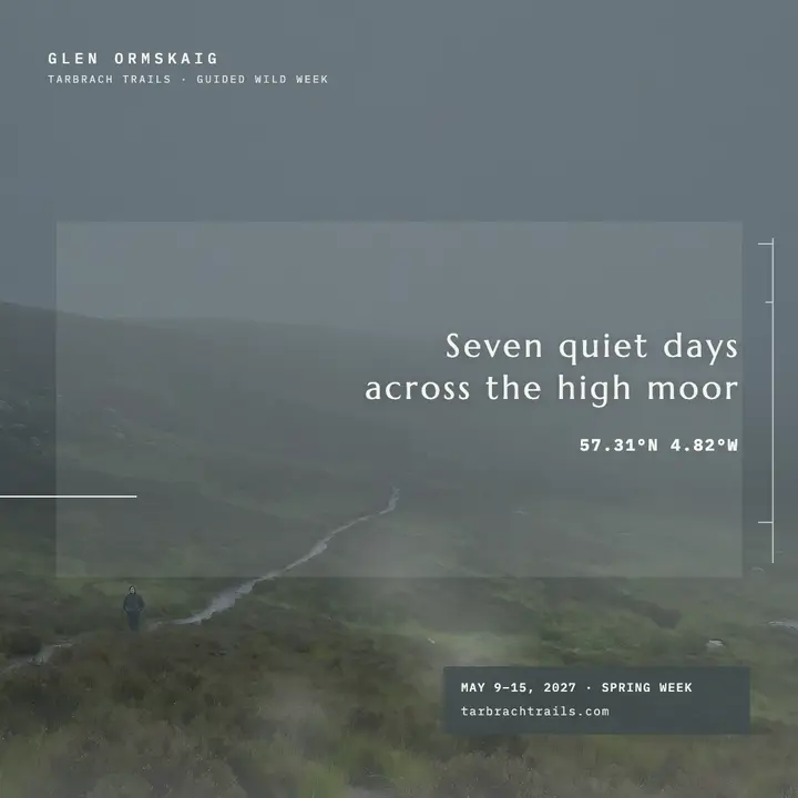 Glen Ormskaig guided moor week misty highlands post template