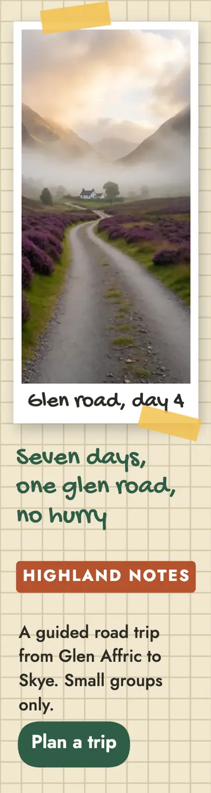 Highland Notes road trip skyscraper ad template