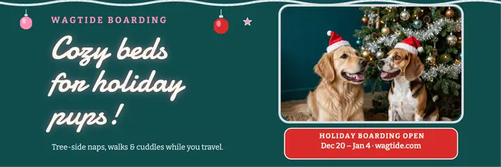 Wagtide holiday boarding x header template