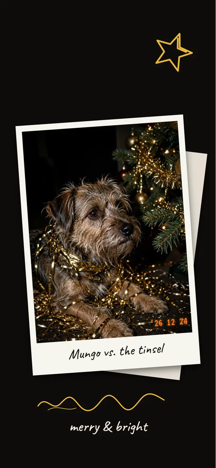 Mungo vs. the tinsel phone wallpaper, direct flash template