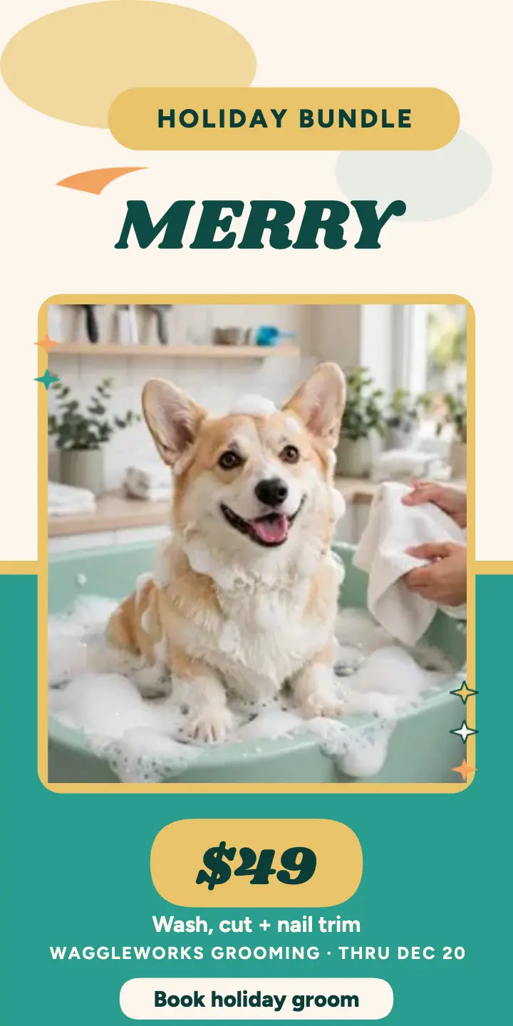 Waggleworks holiday grooming bundle ad template