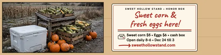 Sweet Hollow Stand holiday banner template