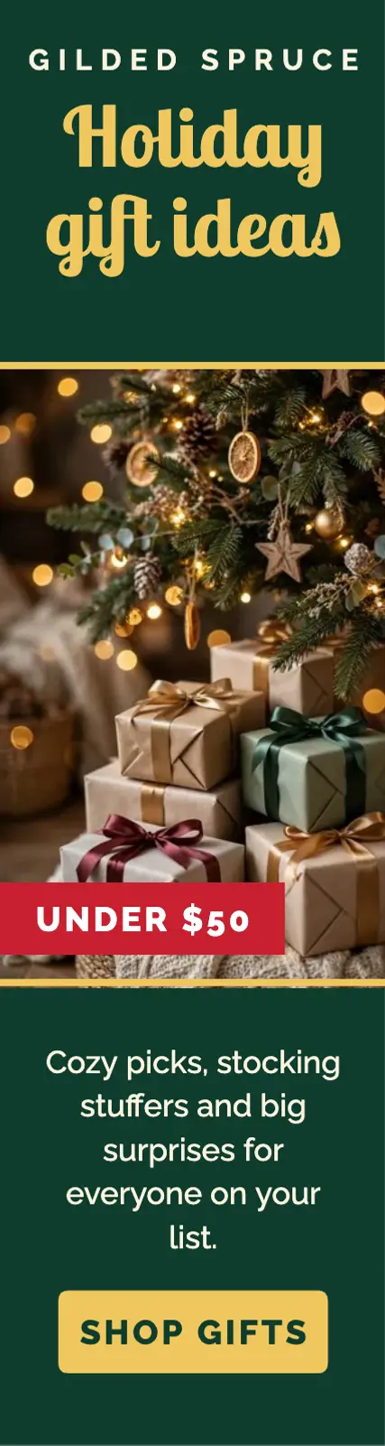 Holiday gift ideas ad template