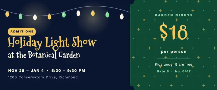 Holiday light show ticket template