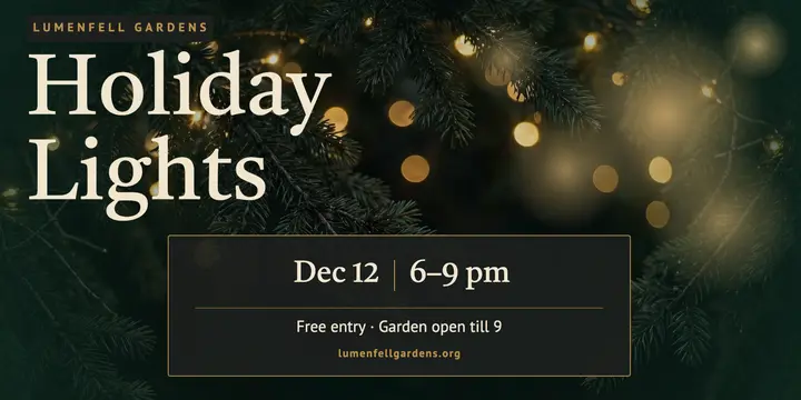 Holiday lights garden evening moody post template