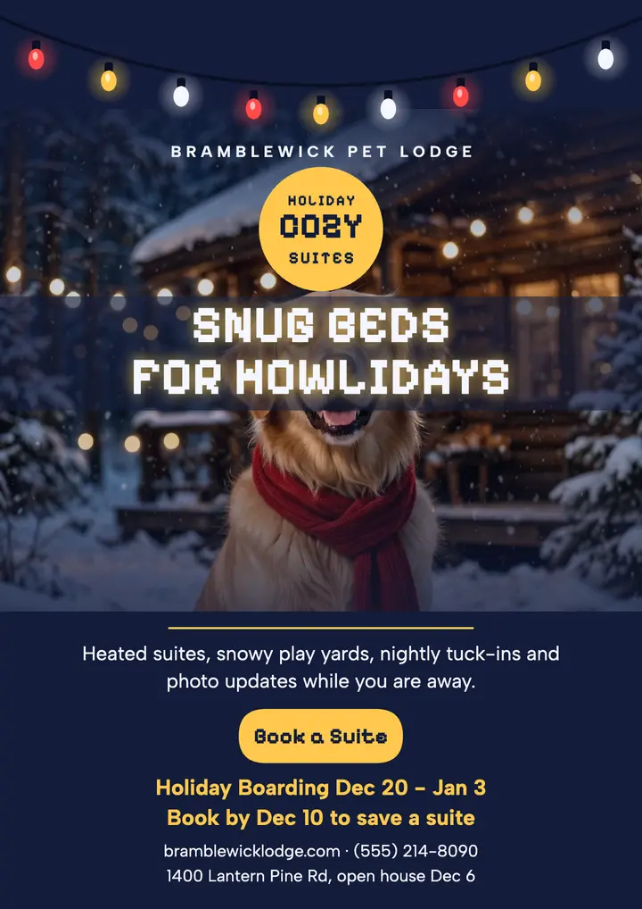 Bramblewick holiday lodge boarding flyer template