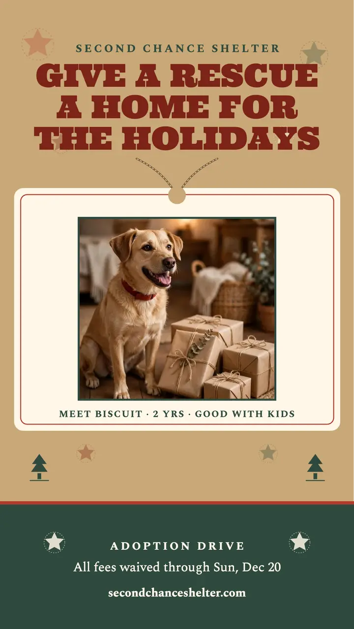 Second Chance holiday adoption story template